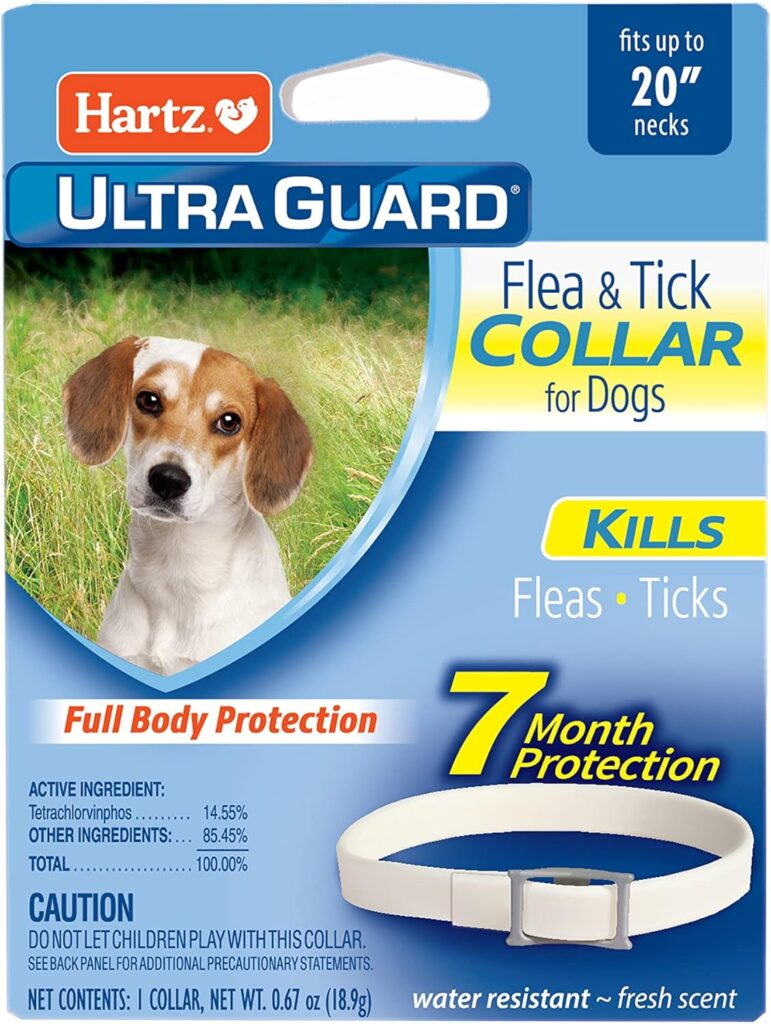 anti-flee dog collar 1