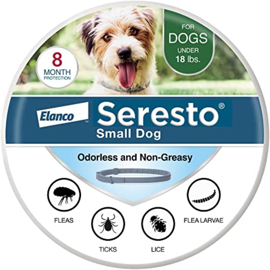 anti-flee dog collar 6