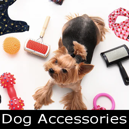 dog accessories