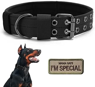 dog collar large dog 1