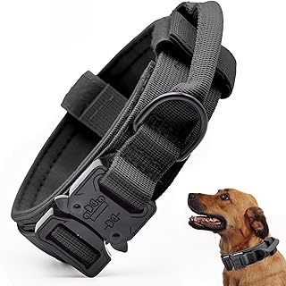 dog collar large dog 2