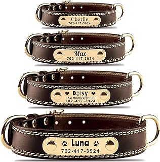 dog collar medium dog 2