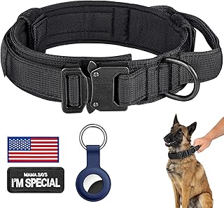 dog collar medium dog 3