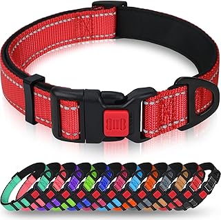 dog collar medium dog 4