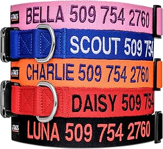 dog collar medium dog 5