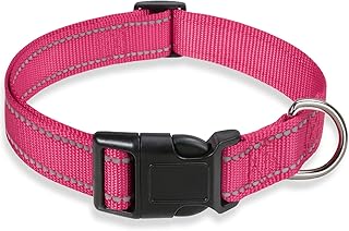 dog collar small dog 1