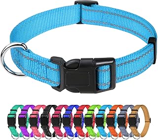 dog collar small dog 2