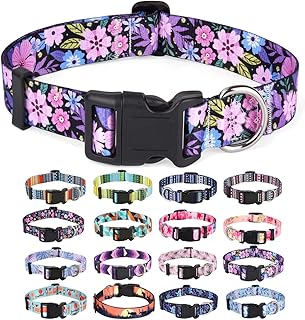 dog collar small dog 3