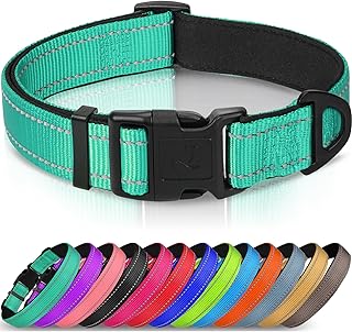 dog collar small dog 4