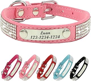 dog collar small dog 5