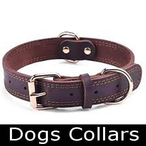 dog collars