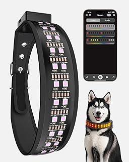 rgb dog collar 1