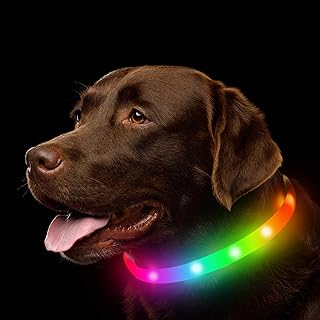 rgb dog collar 2
