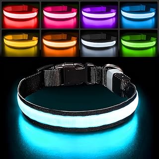 rgb dog collar 3