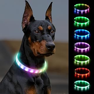 rgb dog collar 4