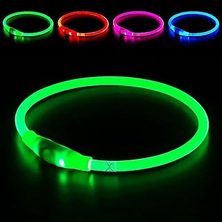 rgb dog collar 5