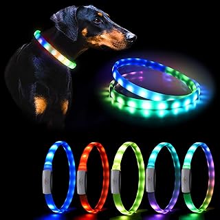 rgb dog collar 6