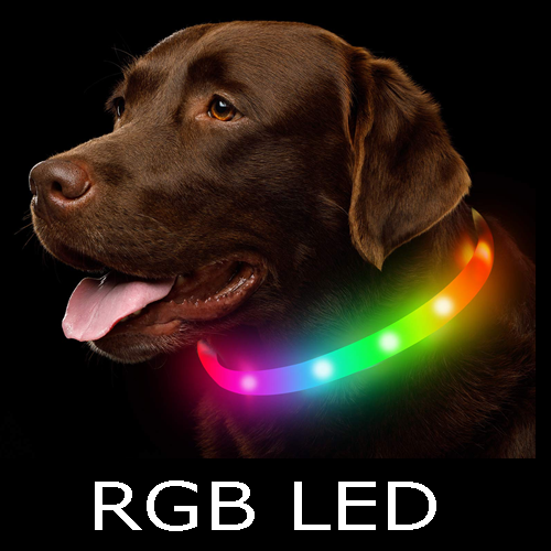 rgb led dog collar
